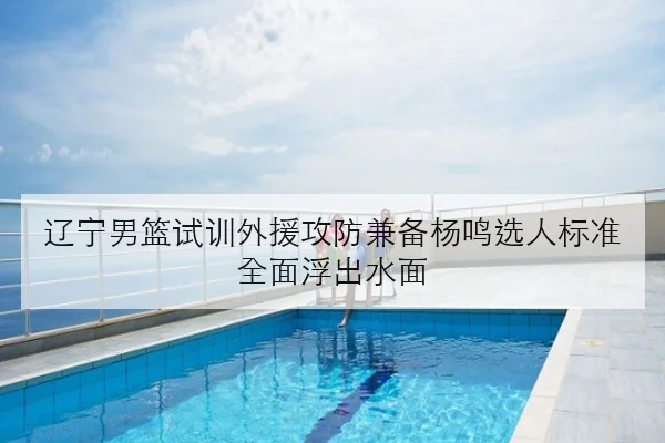 辽宁男篮试训外援攻防兼备杨鸣选人标准全面浮出水面